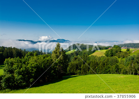 Foggy Valley in Styria in Austria Foggy Valley in Styria in Austria 37855906