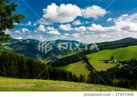 Landscape with Green Hills in Styria in Austria Landscape with Green Hills in Styria in Austria 37855908