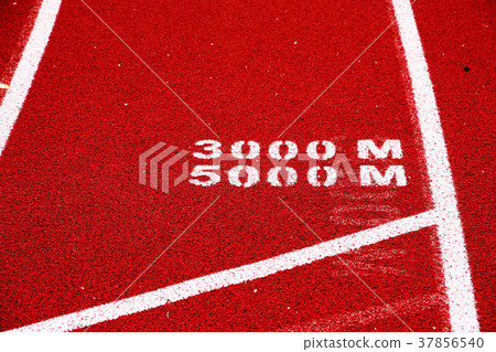 Distance race start line Distance race start line 37856540