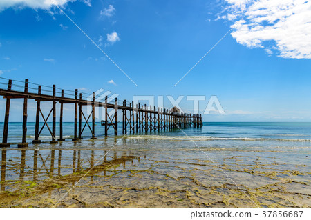 桑給巴爾海岸（坦桑尼亞，桑給巴爾） 37856687