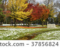 Asahikawa _ winter Tokiwa Park 37856824