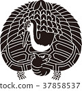鶴龜 37858537