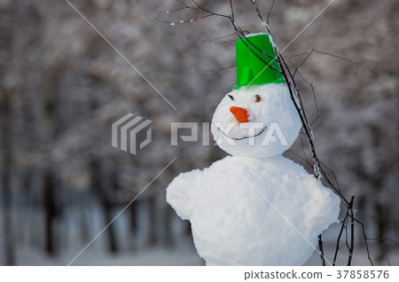 Fun snowman in park. Fun snowman in park. 37858576