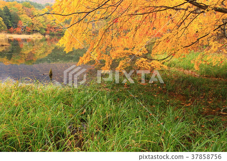 Kannonnuma秋葉在福島縣 Kannonnuma秋葉在福島縣 37858756