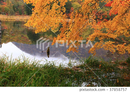 Kannonnuma秋葉在福島縣 Kannonnuma秋葉在福島縣 37858757