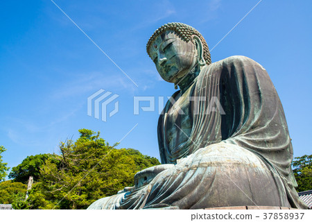 鎌倉大佛夏天 鎌倉大佛夏天 37858937