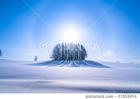 “北海道”冬季溫和的七山,美麗的幻影環 “北海道”冬季溫和的七山,美麗的幻影環 37858954