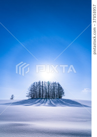 “北海道”冬季溫和的七山，美麗的幻影環 37858957