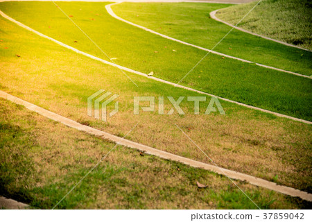 Green grass on the sunrise. Green grass on the sunrise. 37859042