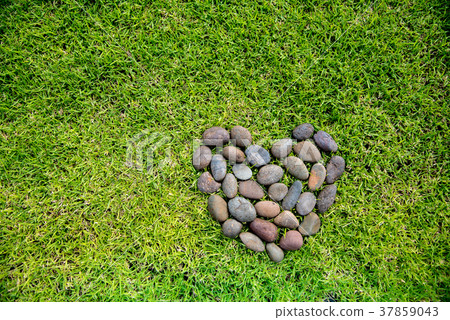 heart rock on a green grass. heart rock on a green grass. 37859043