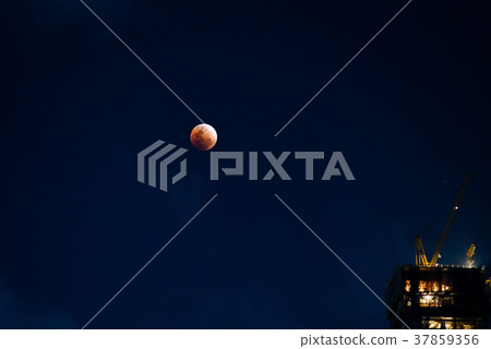 Lunar Eclipse - Super Blue Blood Moon Eclipse 37859356