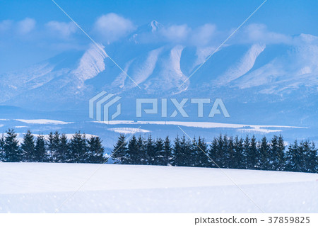 "Hokkaido" A land of winter Biei and Yukihara scenery "Hokkaido" A land of winter Biei and Yukihara scenery 37859825