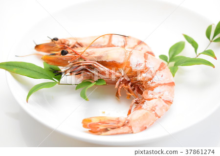 Bear shrimp, red shrimp, grilled shrimp, Izumi City, Kagoshima Prefecture Bear shrimp, red shrimp, grilled shrimp, Izumi City, Kagoshima Prefecture 37861274