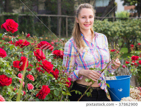 young woman holding a basket and standing in the park of roses 37862900