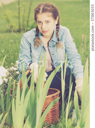 happy young brunette girl with basket gardening in summer park happy young brunette girl with basket gardening in summer park 37863035