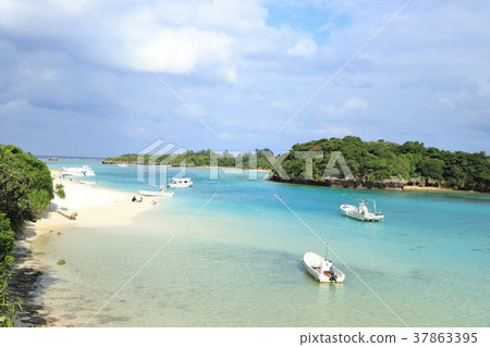 卡瓦希拉灣 37863395