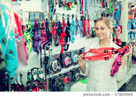 Female shop assistant showing leashes for pets Female shop assistant showing leashes for pets 37864069