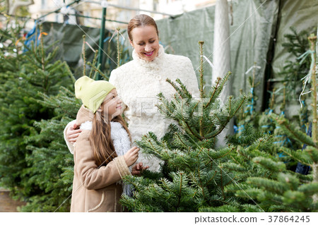 mother and daughter choose tree mother and daughter choose tree 37864245