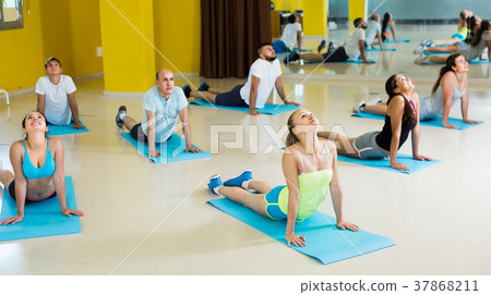 Smiling men and ladies different ages learning yoga positions Smiling men and ladies different ages learning yoga positions 37868211