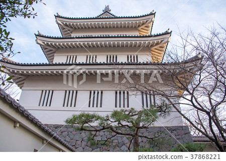 Oshiki埼玉縣Gyoda-shi 37868221