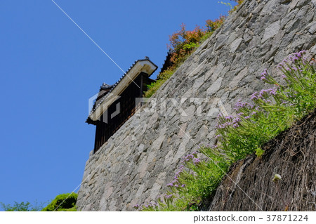 松山城Ninomaru歷史遺址花園石垣 37871224