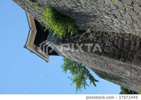Matsuyama Castle Motomaru Ishigaki 37871449