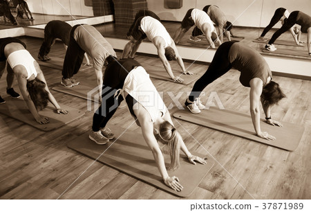 Adults having yoga class in sport club Adults having yoga class in sport club 37871989