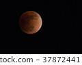 Super Blue Blood Moon 37872441