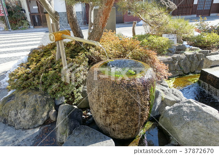 松本市玫瑰園 37872670