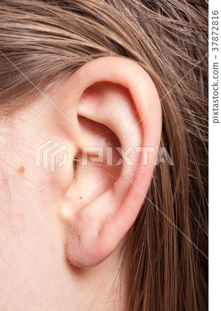 Detail of the head with female human ear and hair 37872816