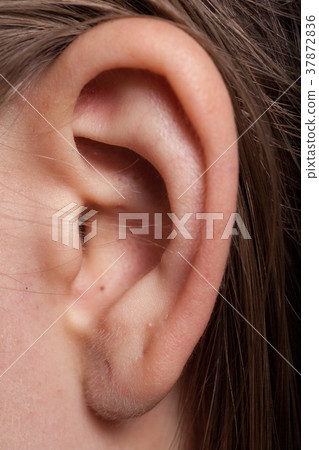 Detail of the head with female human ear and hair 37872836