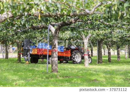 宮城棗梨017 37873112