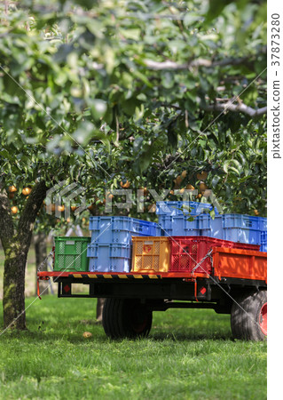 宮城棗梨027 宮城棗梨027 37873280