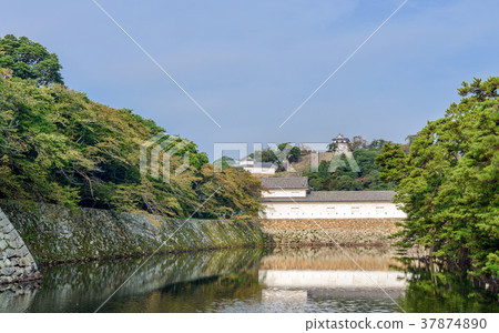 彥根城的風景 37874890