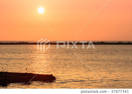 Ikijo在黃昏 37877341