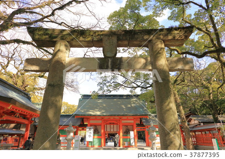 Sumiyoshi Shrine Fukuoka Prefecture Fukuoka City Hakata Ward Sumiyoshi Shrine Fukuoka Prefecture Fukuoka City Hakata Ward 37877395