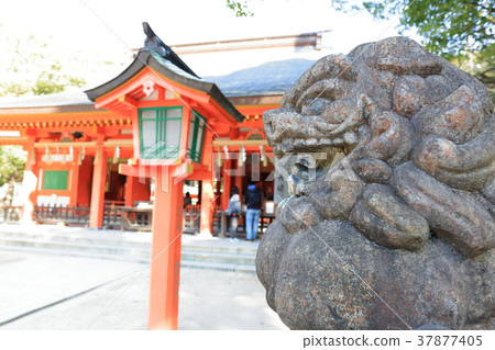 Sumiyoshi Shrine Fukuoka Prefecture福岡市博多區 Sumiyoshi Shrine Fukuoka Prefecture福岡市博多區 37877405