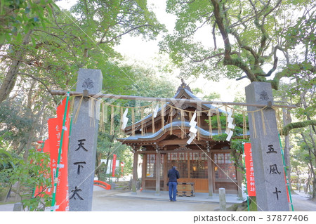 Sumiyoshi Shrine Fukuoka Prefecture Fukuoka City Hakata Ward Sumiyoshi Shrine Fukuoka Prefecture Fukuoka City Hakata Ward 37877406
