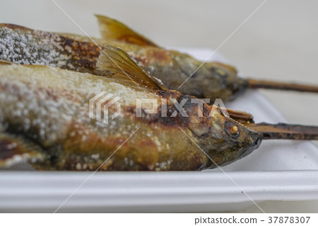 Close up of Grilled trout fish on wooden table 37878307