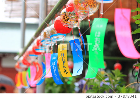 Asakusa Hooshiki City July Wind bell Asakusa Hooshiki City July Wind bell 37878341