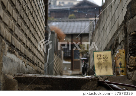 In search of Senkoji 37878359