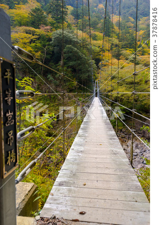 日本的三大峽谷，一百個選舉，大杉谷的禁橋（三重縣）※在工作評論欄中拍攝位置信息 37878416