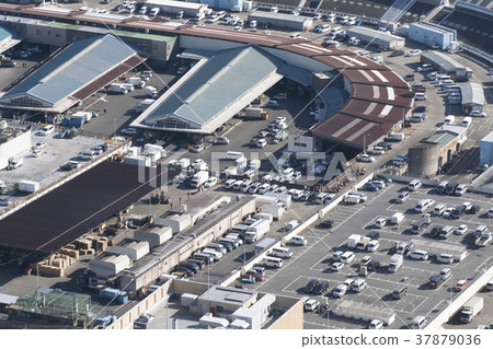 Tokyo Tsukiji Market 37879036