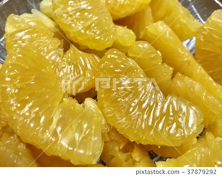 伊陽館 伊陽館 37879292