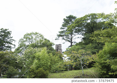 佛山反射爐被樹木包圍 37879475