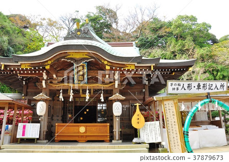 Fujisawa City, Kanagawa Prefecture Enoshima Enoshima Shrine Hetsumiya Shrine and Kaya no Wa Fujisawa City, Kanagawa Prefecture Enoshima Enoshima Shrine Hetsumiya Shrine and Kaya no Wa 37879673