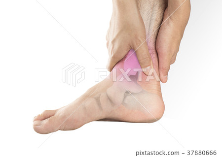 foot bones pain 37880666