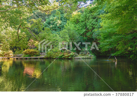 Oyama Shrine Kamisu scenery 37880817