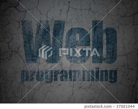 Web development concept: Web Programming on grunge 37881044