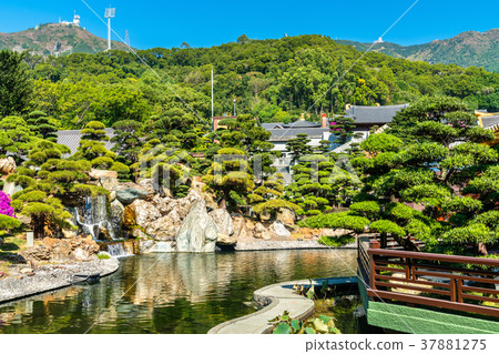 Nan Lian Garden, a Chinese Classical Garden in Nan Lian Garden, a Chinese Classical Garden in 37881275